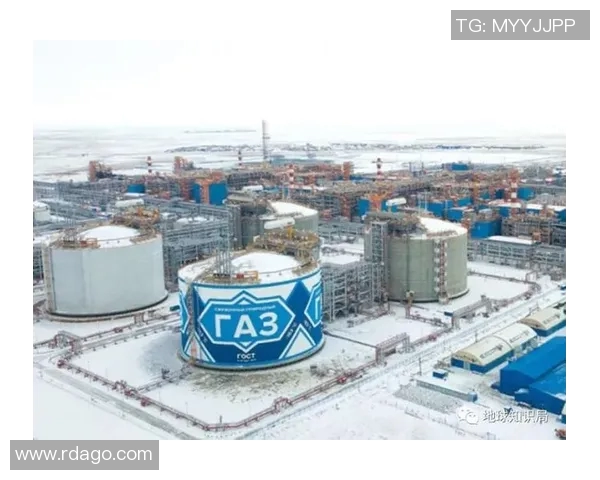 亚马尔地区的资源开发与国际合作新机遇探讨